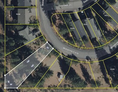 11300 Wolverine Cir, Truckee, CA 96161 - photo 2