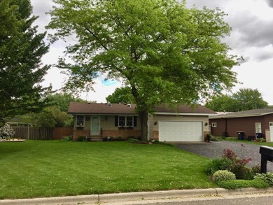 Here's a lush summer pic, mature trees and vegetation.