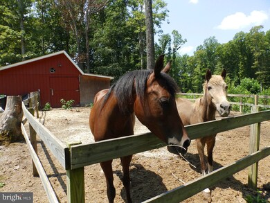 12640 Mill Rd, Fredericksburg, VA 22407 - photo 2