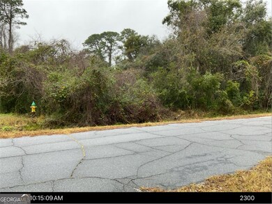 0 Wheeler St unit 10597452, St. Marys, GA 31558 - photo 5