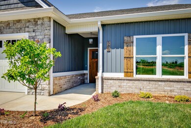 613 Bittersweet Trail, Jonesborough, TN 37659 - photo 5