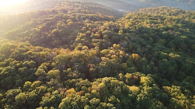 78+/- Acres TBD W Blanding Rd, Hanover, IL 61041 - photo 3