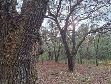 00 SE 73rd Place, Morriston, FL 32668 - photo 2