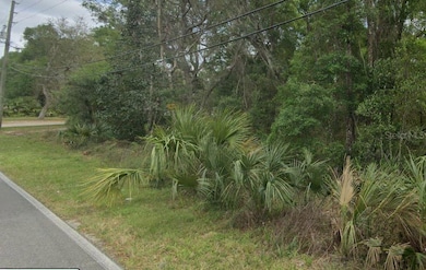 0 Reynolds Rd unit MFRO6292104, de Leon Springs, FL 32130 - photo 3