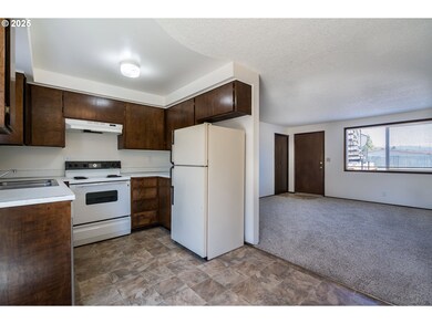 231 S 40th St, Springfield, OR 97478 - photo 6