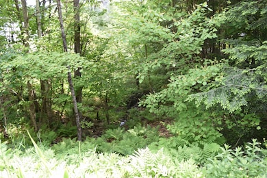 Potential lake views & wooded tree line buffer too!