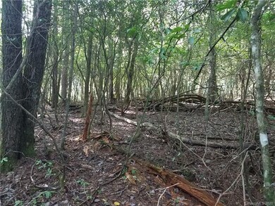 Hardwoods, Rhododendron, and Mountain Laurel Galor