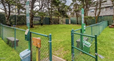Dog run