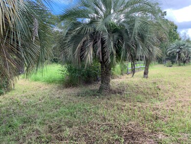 3898 Darlene Rd, Middleburg, FL 32068 - photo 4