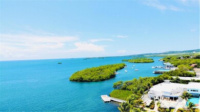 . Urb Monte Olimpo unit B-13, Lajas, PR 00667 - photo 5