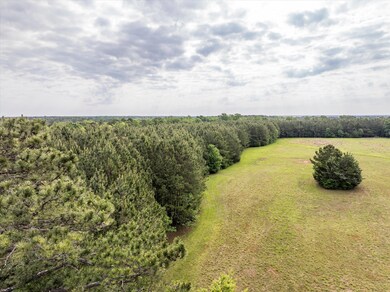 5750 Cobbham Rd, Appling, GA 30802 - photo 4