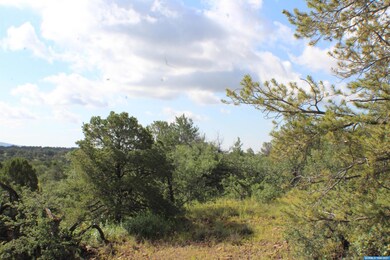 91xx Hideaway Trail, Silver City, NM 88061 - photo 4