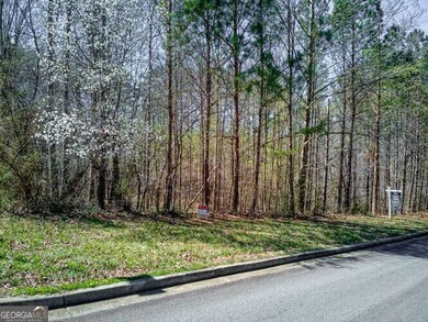 263 Principal Meridian Dr, Dallas, GA 30132 - photo 6