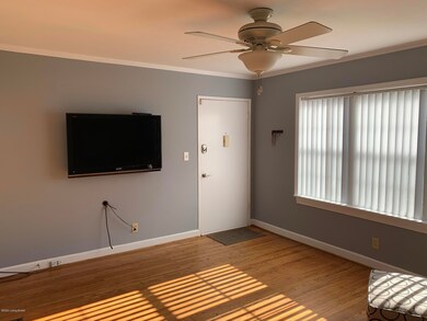 1117 Baxter Ave unit 2B, Louisville, KY 40204 - photo 2