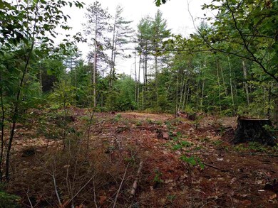 25 Michael's Ln unit 7, Salisbury, NH 03268 - photo 5