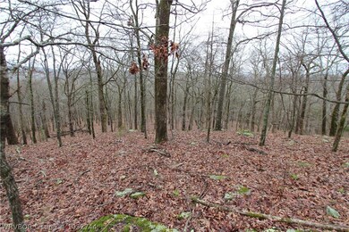 23400 Barr Rd, Winslow, AR 72959 - photo 6