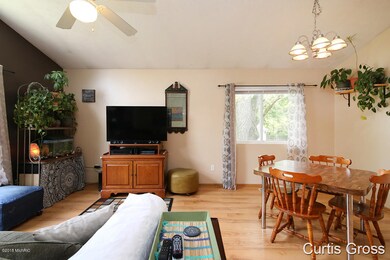 1046 N Hudson St SE, Lowell, MI 49331 - photo 4