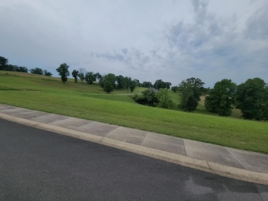 DJI_20240522_180903_10