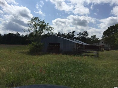 7230 Tracy Dr, Conway, SC 29526 - photo 4