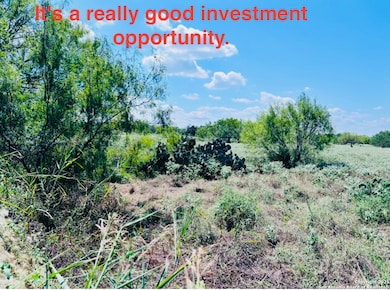 0 Texas Highway 16, Jourdanton, TX 78026 - photo 5