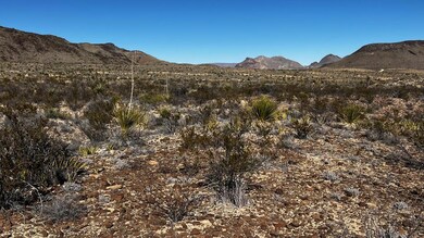 24387 Echo St, Terlingua, TX 79852 - photo 2