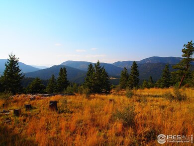 Nice level building site on top.