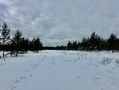 TBD Airfield Rd, Gwinn, MI 49841 - photo 5