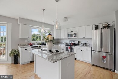 37895 Alberts Farm Dr, Purcellville, VA 20132 - photo 4