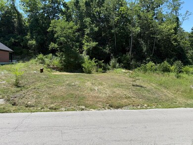 5274 Dodsworth Ln, Cold Spring, KY 41076 - photo 4