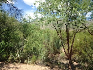 5751 N Kolb Rd unit 34103, Tucson, AZ 85750 - photo 7