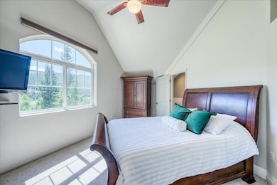 234 Peterson Dr, Fairplay, CO 80440 - photo 4