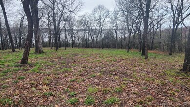 106 Patriot Pointe, Eufaula, OK 74432 - photo 4