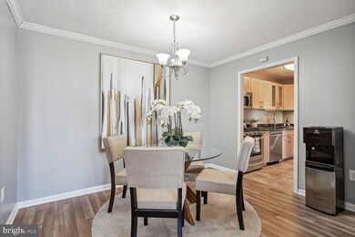 Town Square Towers unit 204, Washington, DC 20024 - photo 4