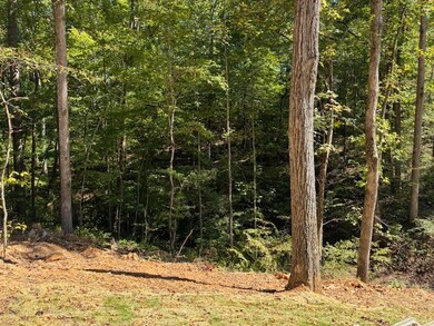 0 Hunziker Ln unit RTC2785102, Fairview, TN 37062 - photo 6