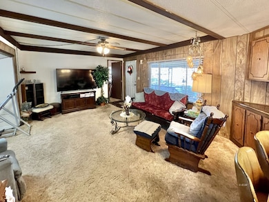 213 Cedar St, Carlin, NV 89822 - photo 7