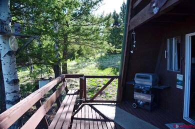 0 Slumgullion Trail unit 732858, Powderhorn, CO 81243 - photo 4