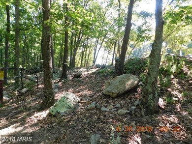 0 Rt 9 W unit 1001953478, Paw Paw, WV 25434 - photo 3