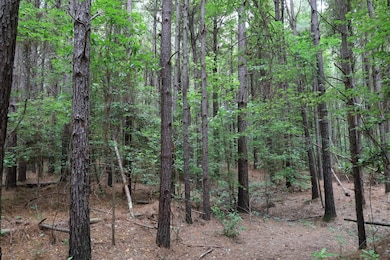 TBD Slay Rd, Olla, LA 71465 - photo 3