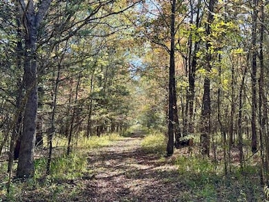 Highway 50, Cedar Bluff, MS 39773 - photo 4