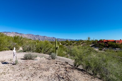 View of Catalinas