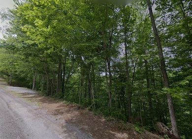 0 Tranquility Way unit Smithville TN 37166, Smithville, TN 37166 - photo 3