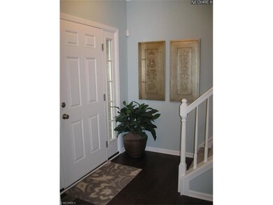 Picture contain non-standard features.