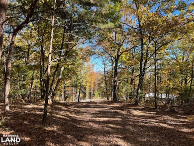 0 Polly Mountain Rd unit 25503304, Madisonville, TN 37385 - photo 4