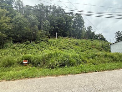 00 Kennedy Dr, Chavies, KY 41727 - photo 3