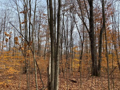 IMG_4254