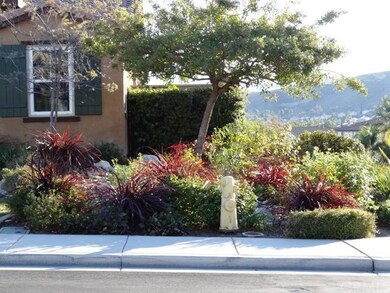 View of Mountain from the front