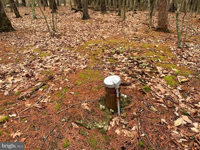 70 Tall Tree Rd, Springfield, WV 26763 - photo 6