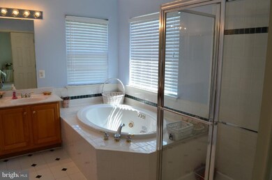 43491 Mink Meadows St, Chantilly, VA 20152 - photo 7