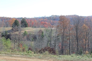 0 Deadend Trail, Garrison, KY 41141 - photo 3