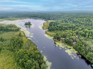 8993 Arnold Stock Ln, Minocqua, WI 54548 - photo 6